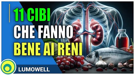 herbalife fa male ai reni|Cibi che fanno bene ai reni: quali sono e perché aiutano.